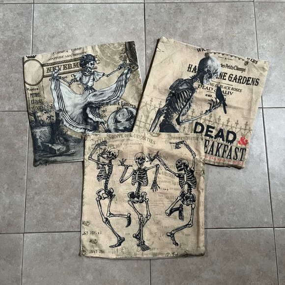 Set Of 3 Halloween Pillow Cases 17”x17” Skulls Skeletons Apothecary - Picture 2 of 5
